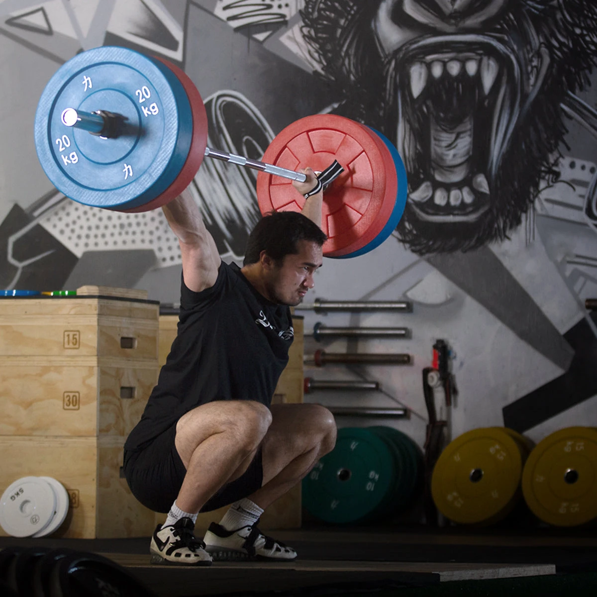 Riot Bumper Plates - Farbig 8 Riot Bumper Plates - Farbig – Bild 8