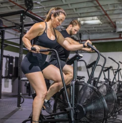 Assault Airbike Classic -Heimfitnessgeschäft af website classic image 1 900x900 1