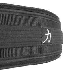 Belt Squat Maschine -Heimfitnessgeschäft beltsquat machine shop 17 1