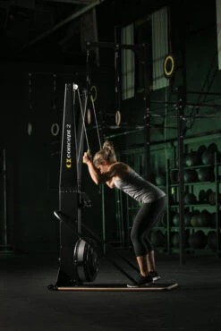 Concept2 SkiErg -Heimfitnessgeschäft concept 1