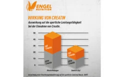 Engel Nutrition 100% Pure Creatine Caps - 400 Kapseln -Heimfitnessgeschäft engel nutrition creatin caps wirkung von creatin 1