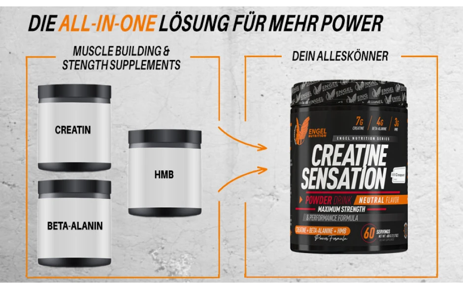 Engel Nutrition Creatine Sensation Powder - 600g 2 Engel Nutrition Creatine Sensation Powder - 600g – Bild 2