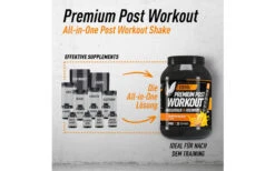 Engel Nutrition Premium Post Workout - 2000g Dose 13 Engel Nutrition Premium Post Workout - 2000g Dose -Heimfitnessgeschäft engel nutrition premium post workout all in one formula