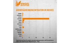 Engel Nutrition 100% Pure Glutamine Powder - 500g -Heimfitnessgeschäft glutamin aminosaeurenkonzentration im muskel