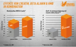 Engel Nutrition Creatine Sensation Powder - 600g 7 Engel Nutrition Creatine Sensation Powder - 600g -Heimfitnessgeschäft wirkung creatin kombinationen xs