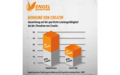 Engel Nutrition 100% Pure Creatine Powder - 500g 7 Engel Nutrition 100% Pure Creatine Powder - 500g -Heimfitnessgeschäft wirkung von creatin grafisch dargestellt